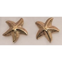 RAAT3518 Medium Starfish Post Earrings