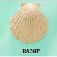 RA38P Large Scallop Shell Pendant 