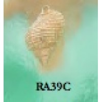 RA39C Small Conch Shell Charm