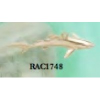RAC1748 Mako Shark Charm