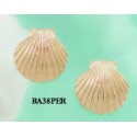 RA38PER Extra Large Scallop Shell Post Earrings 